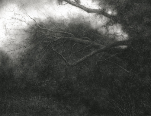 Sue Bryan, Rooted in the Darkest Places, 2015 charcoal &amp; carbon on arches mounted on wood 12