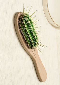 theleoisallinthemind:Hair brush, still life