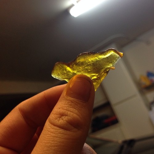 Beautiful shatter #wax#golden#goldenwax#weed#marijuana#pot#smoke#high#faded#dabs#dab#dabnation#natio