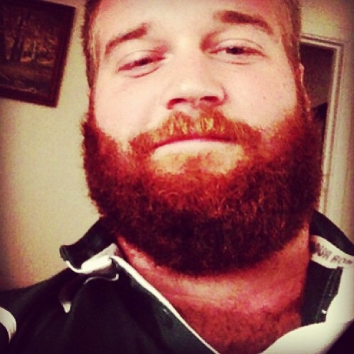 thebigbearcave:  RANDOMZ 767