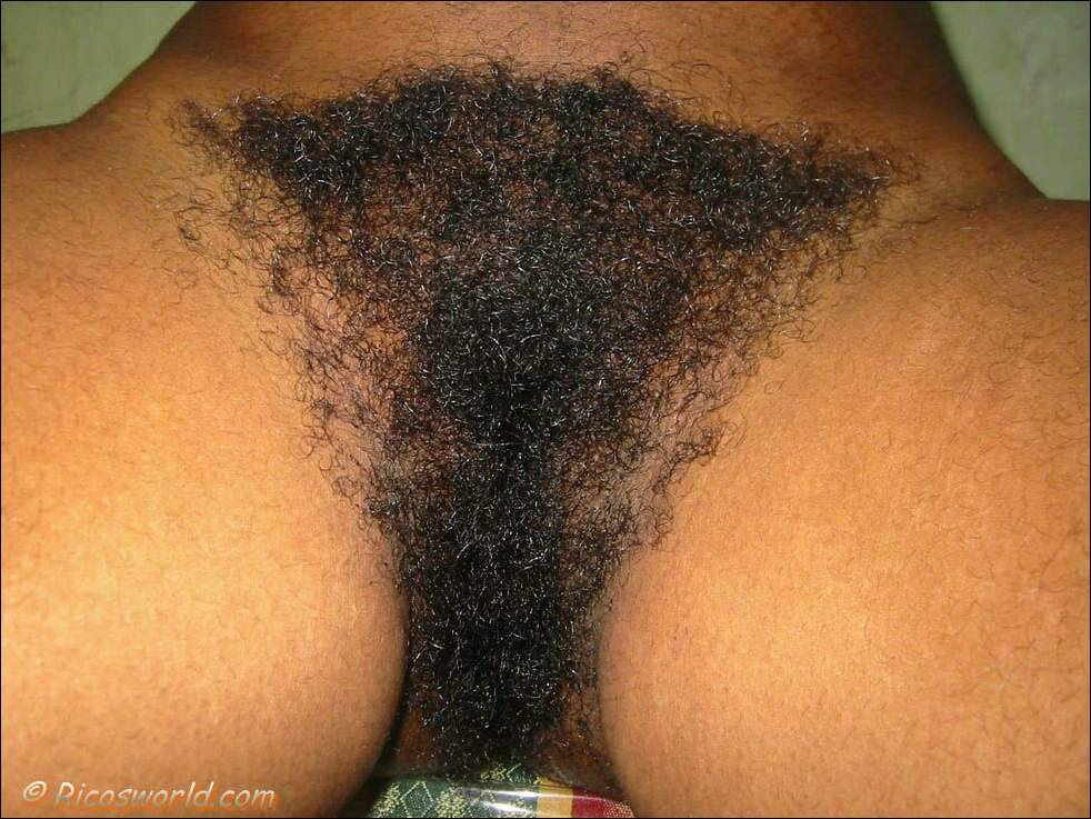 Hairy, Vintage, Retro, Chocolate Pussy Cats