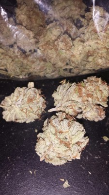 equallyblessed:  Last half of the Purple