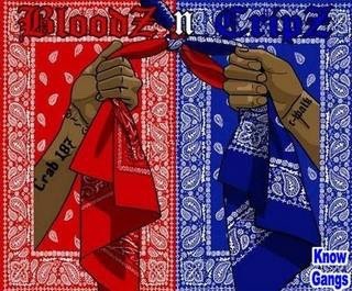 sancophaleague:  In 1992, after the Rodney King beating, OGs from the Crips and Bloods