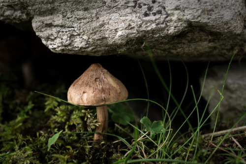 nature-and-landscape-photography:Sheltered under the rock