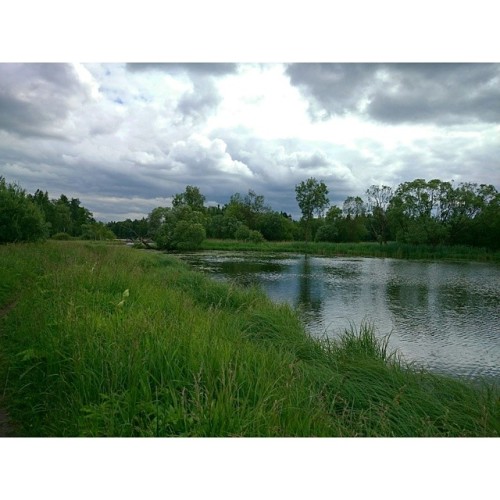 #Footpath. #WildLife 8  Near #PalacePark, Teplaya #river, #Gatchina #Russia #travel 🌍   _*_  Тропинка по берегу реки Тёплой, близ Дворцового парка, ГМЗ #Гатчина @gatchinapalace_museum #Россия