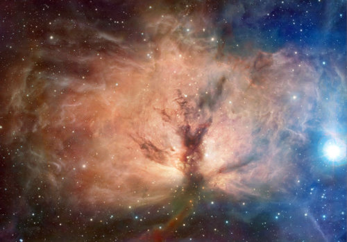 just–space:  The Flame Nebula in Visible and Infrared via NASA