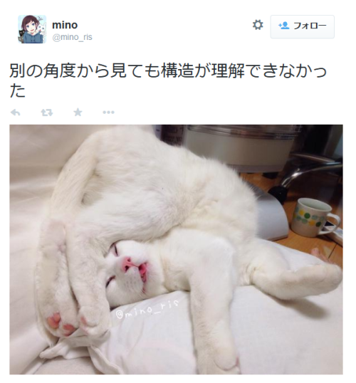 highlandvalley:  minoさんはTwitterを使っています: “何から突っ込めばいいのか分からない寝相をしていた http://t.co/hcwjYszwu7”