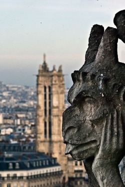 audreylovesparis:  Gargoyle, Galerie des Chiméres, Notre dame de Paris 