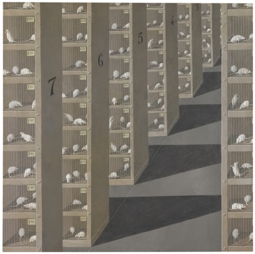 amare-habeo:Domenico Gnoli (Italian, 1933-1970) White Mice in their Cages, N/DMixed media on cardboa