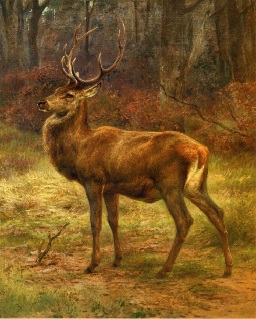 Stag in an Autumn Landscape, Rosa Bonheurwww.wikiart.org/en/rosa-bonheur/stag-in-an-autumn-l