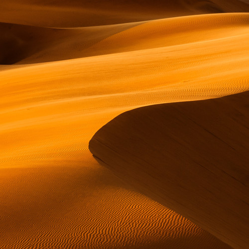 cinemagorgeous:  From Dunescape by photographer Shawn van Eeden.