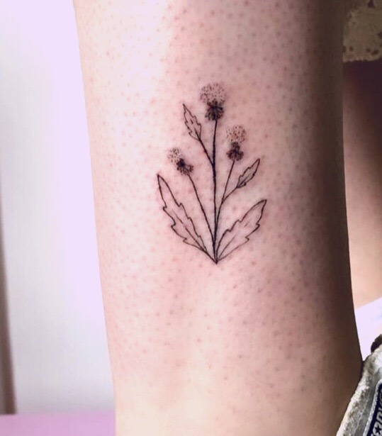 tiny tattoos — I finally got my first tattoo and couldn't be...
