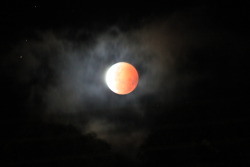 dadvillainy:  paranoidoptimist:  Blood Moon (Lunar Eclipse)Photo’s I took at aprox 10:15pm EST 8/10/2014  It was so pretty.