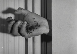 flagitiosus:Un chien andalou