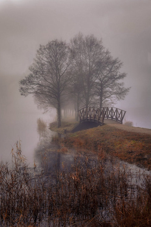 hellocoraco: “Fog is not mysterious, fog is the mystery itself!”― Mehmet Murat ildan Pho