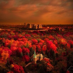 toxicvisionclothing:  Autumn morning view from the Toxic Vision lair…