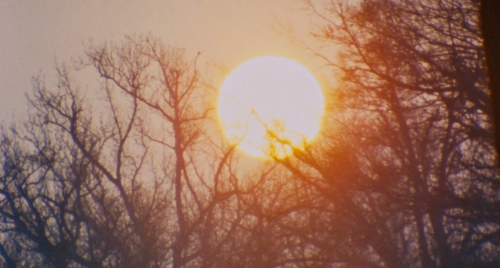 highvolumetal:Easy Rider , Dennis Hopper , 1969.