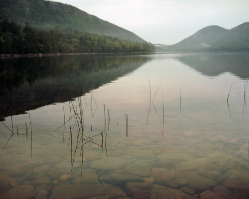 anjalipinto:A few of the marvels I witnessed at Acadia National Park, Bar Harbor, Maine.