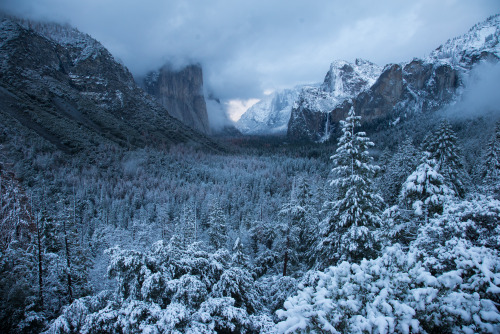 Yosemite WinterDreamy levels of snow have hit the Sierras this winter and it’s beyond beautiful. 