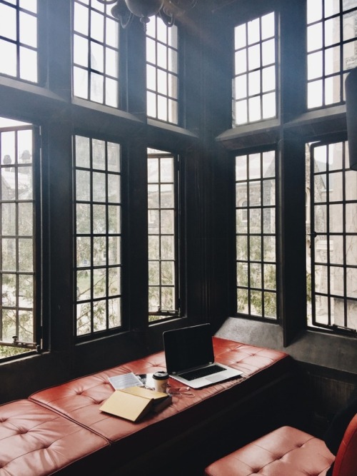 triflingthing:the university of toronto library lifestyle 