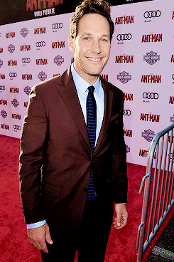 paulruddaily: quicksiluers: Paul Rudd attends the premiere of Marvel’s “Ant-Man”