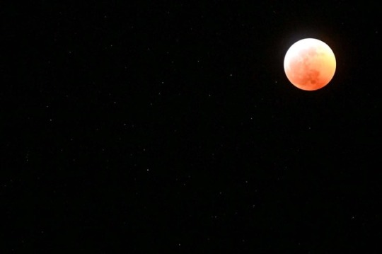 Porn hopperfromdish:  Tonight’s eclipse, 2019. photos