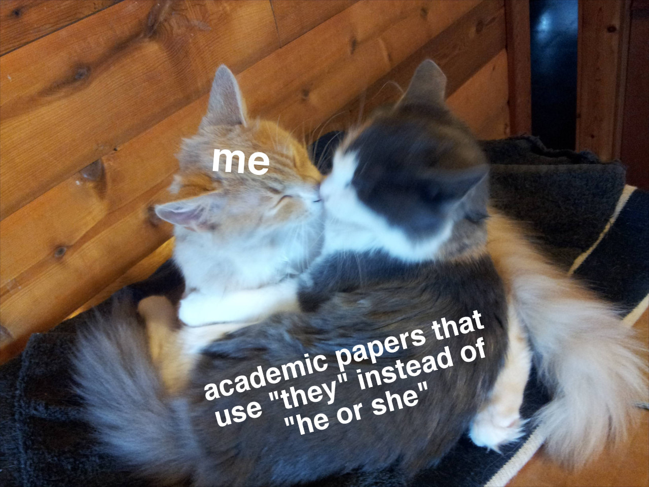 scottandhiskind:  One of my professors would always critique my use of “they”