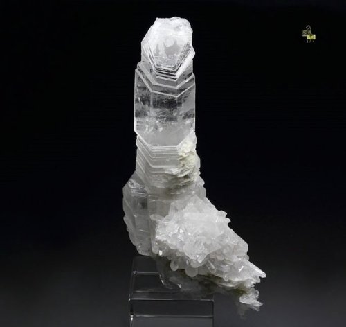 hematitehearts:  Quartz   Bizarre specimen of Quartz crystal sliced by thin Calcite layers from Bor Pit, Dal negorsk, Russia. It forms an aesthetic cluster of Quartz with one dominant crystal. It has sharp hexagonal shape and irregular thickness due