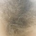 my-christiane:hairypanties766:hairypanties766:Always loved hairy women, yes…