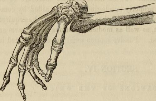 The science and art of surgery, embracing minor and operative surgery, 1867