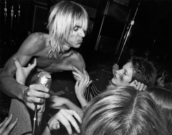 davidssecretlover:  Iggy Pop reaches into the crowd during a gig at the Whisky A Go Go in Los Angeles, October 1973Photo ©  Michael Ochs Archive 