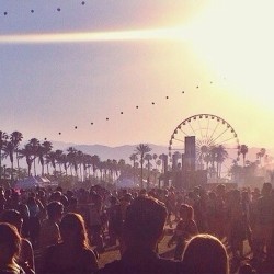 lost-moonlight:  Coachella 