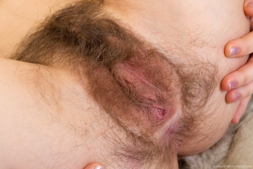 http://bellyhairandracingstripes.tumblr.com/post/152435941746
