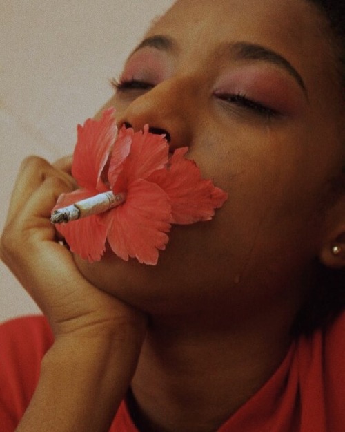 mademoiselleclipon:     Gabriela Mendez /   gabrielamendezphotography  