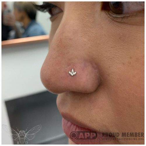 Now that I’m back from Vancouver, let’s start things off with this cute little nostril upgrade on a 