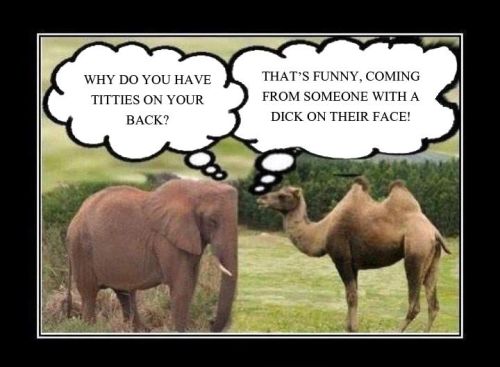 daddyskitten63:  spacefrog23:  😃  Rotflmao….😸😸😸