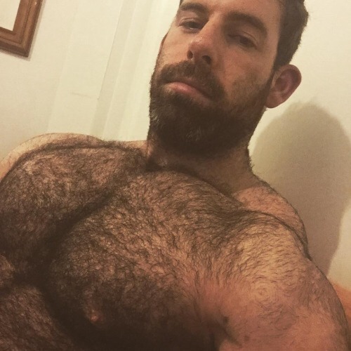 Big cocks,tits,holes reblog your hairy chest porn pictures