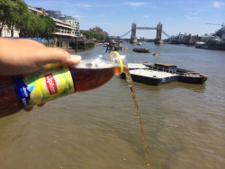 sluttyredhead7:  punwhileyoustillcan:  davejaded:  spacethefinalfuck:  lohanofficial:  this is how americans celebrate 4th of july in london   THATS NOT EVEN REAL TEA YOU UNGRATEFUL YANK -sound of bumbling angry british persons in the distance-  Like