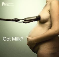 Got milk ?Yes, but only for Black Babies.