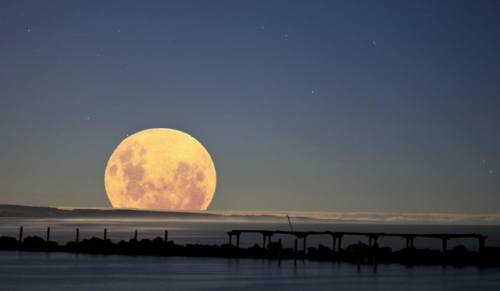 August Full Moon, the Sturgeon Moon, rises on August 26Even though the moment when the moon will be 