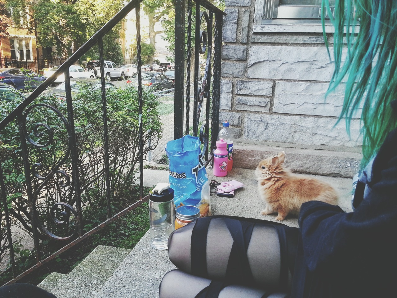 bikegothxvx:  Stoop kids afraid to leave their stoop