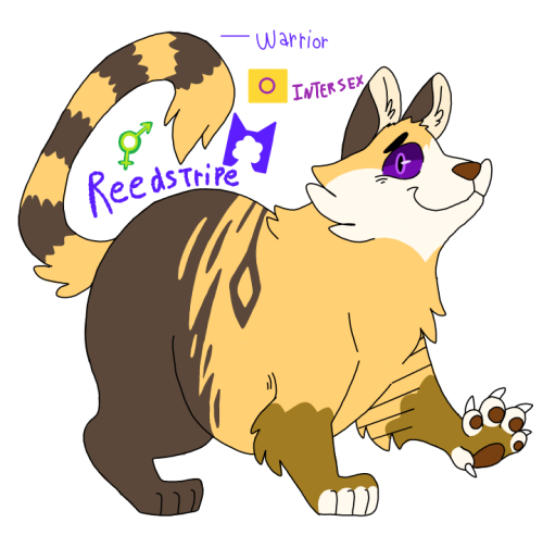 My Ocs