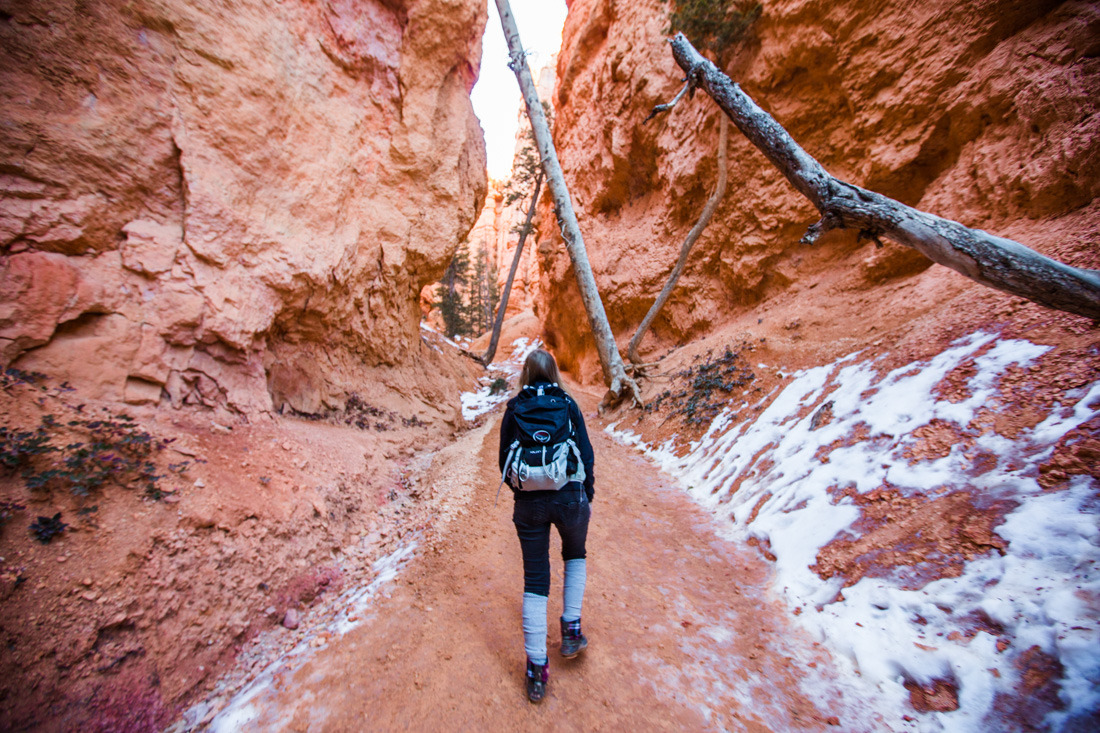 littleveganplanet:Bryce Canyon National Park