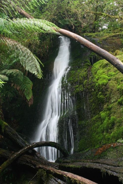 Mavista falls, Tasmania, Australia