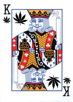 potleafgalaxy:  ganja card