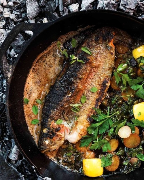 rajdeepbhatpara:Grilled Trout with Garlic Butter