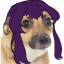 hiyorichika