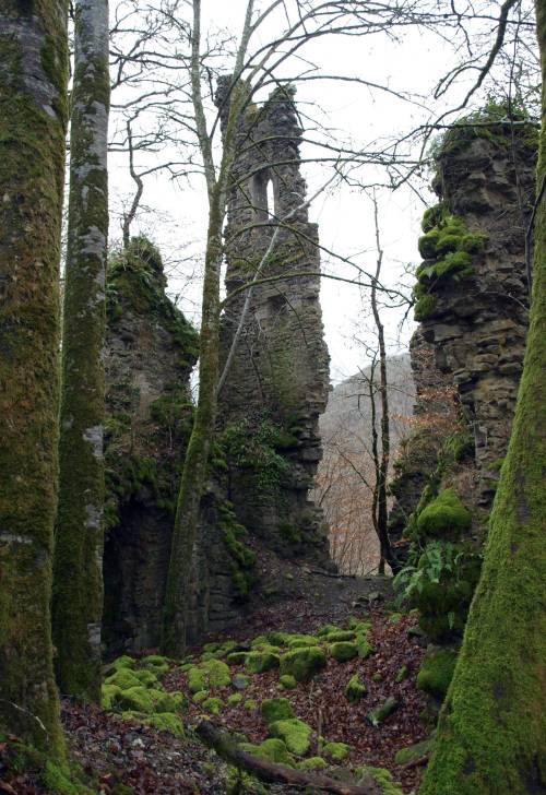 destroyed-and-abandoned:  The ruins of Château de Madic, Central France via joenrussell 