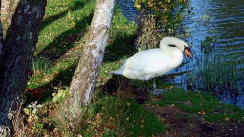 Ablutions.