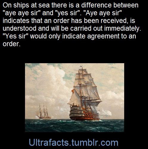 ultrafacts:“Aye aye, sir” is a phrase commonly heard present day in naval language. It is derived from a duplicate of the word “aye” which came into the English language in the late 1500s and early 1600s, meaning “Yes; even so.”. It